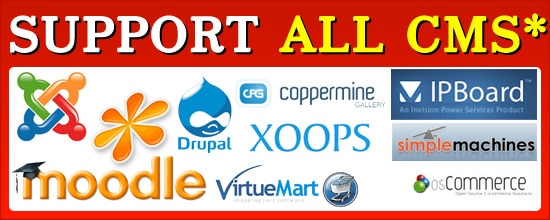http://www.thaidatahosting.com/images/banners/3.jpg