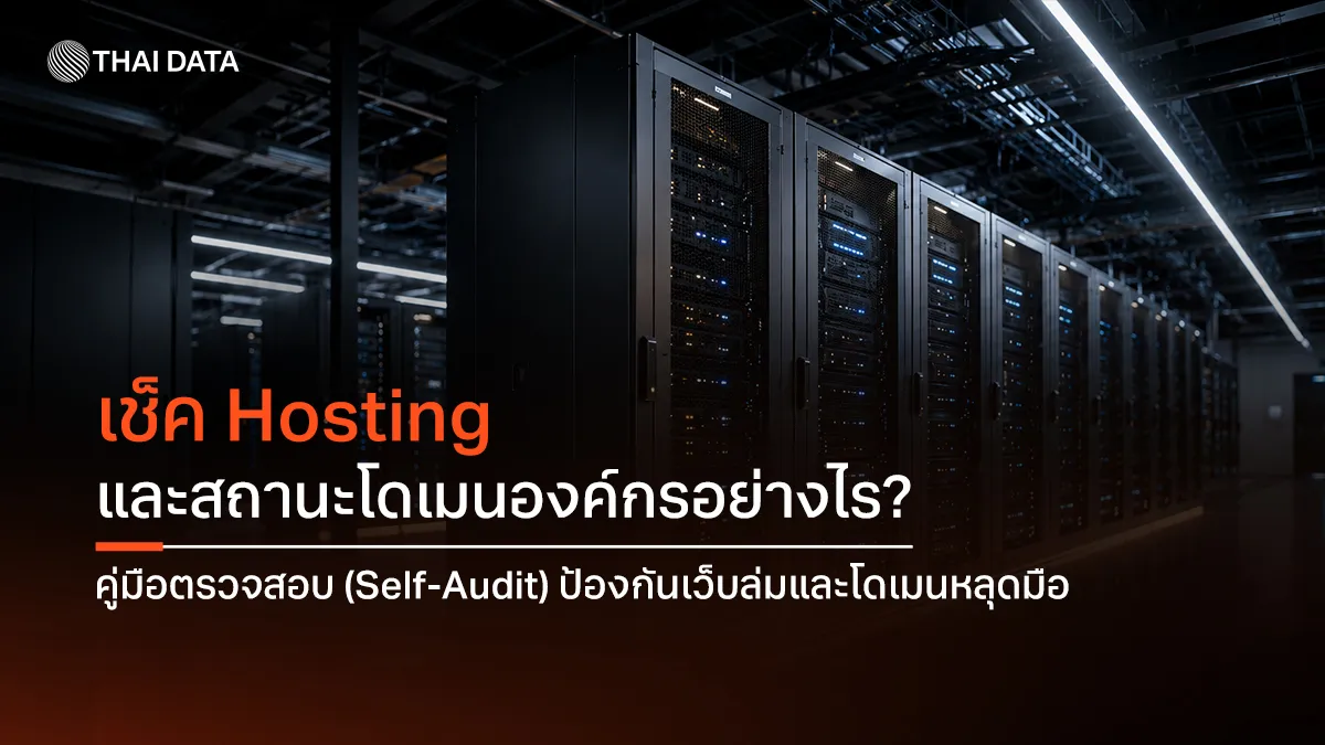 เช็ค hosting และสถานะโดเมนองค์กรอย่างไร? คู่มือตรวจสอบ (Self-Audit) ป้องกันเว็บล่มและโดเมนหลุดมือ